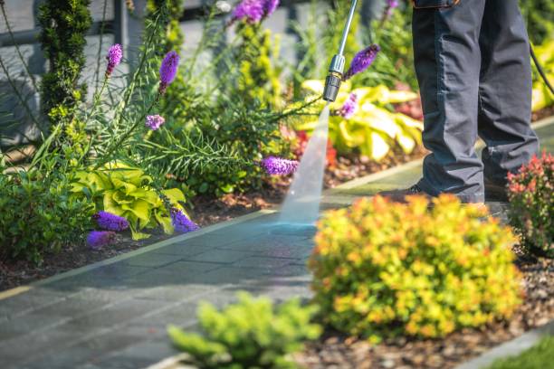 Best Spring Cleaning  in Metuchen, NJ