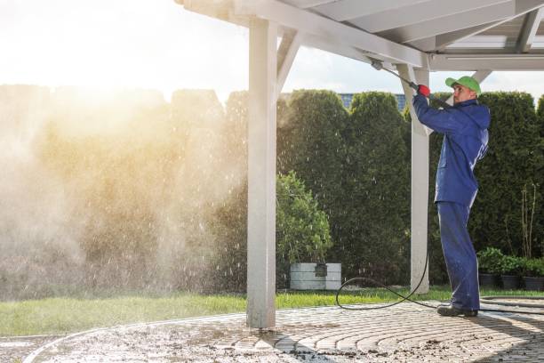 Best Gutter Cleaning  in Metuchen, NJ